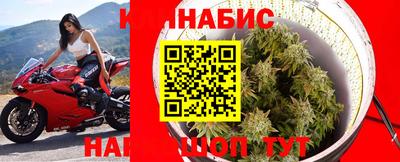 сатива Янаул