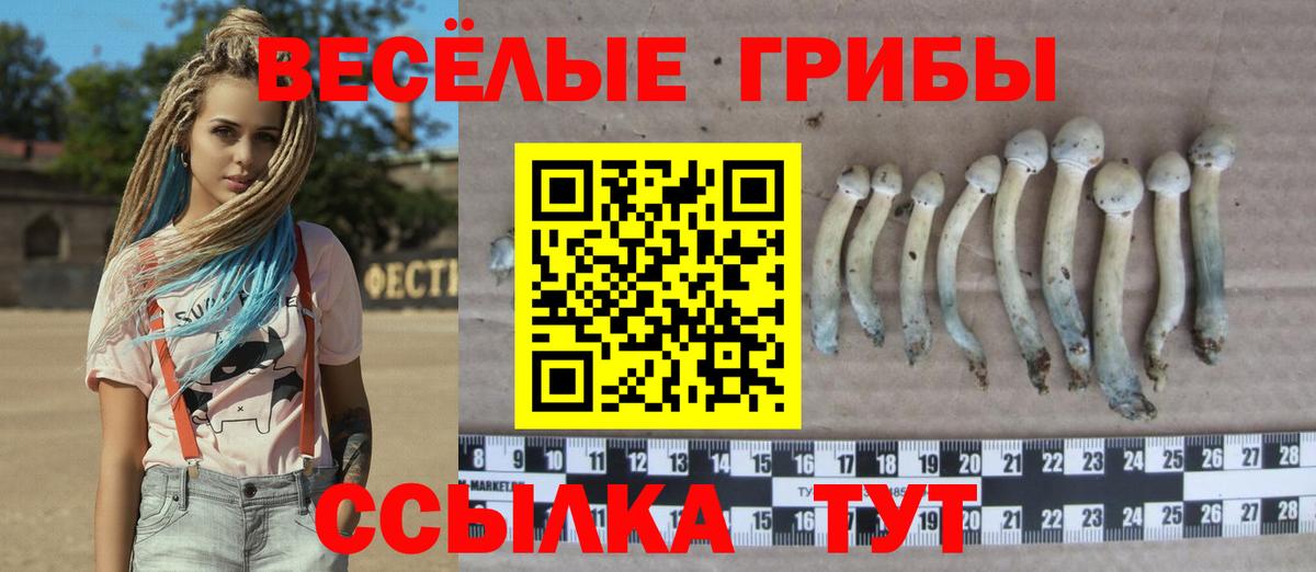 Псилоцибиновые грибы ЛСД Уварово