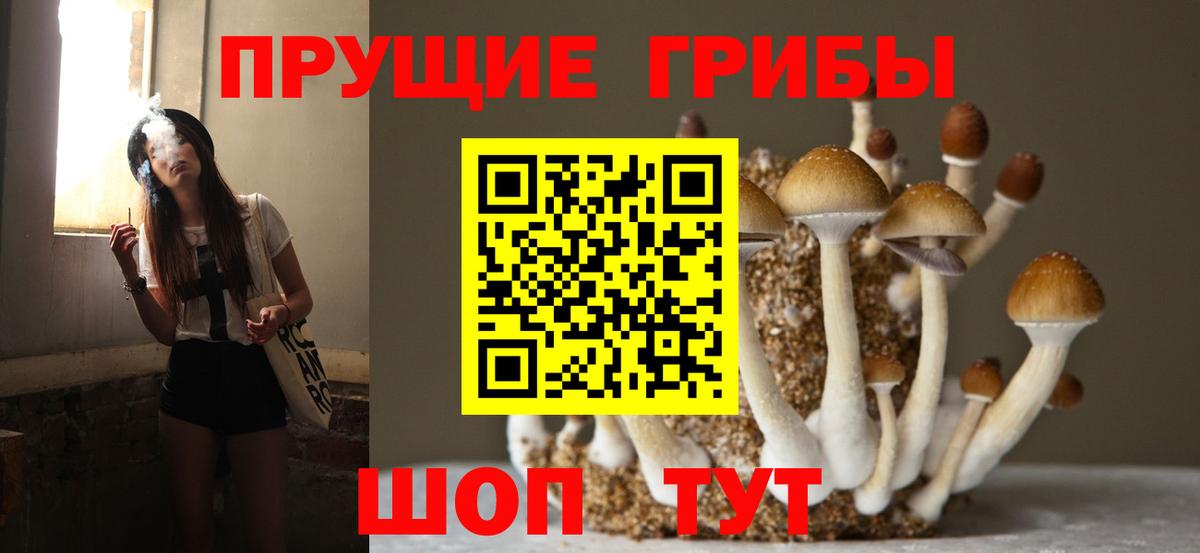 Псилоцибиновые грибы Cubensis  Псилоцибиновые грибы прущие грибы  Вход с VPN  Уварово 